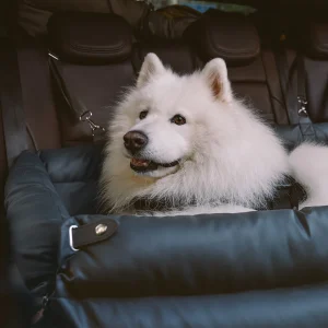 Large Deluxe Faux Leather Dog Car Seat Booster Bed - Urban Voyager - Image 14