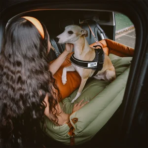 Large Deluxe Faux Leather Dog Car Seat Booster Bed - Urban Voyager - Image 6