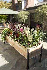 ✨✨- Garden Planting Box - Simple Gardening Made Easy to Assemble - Image 9